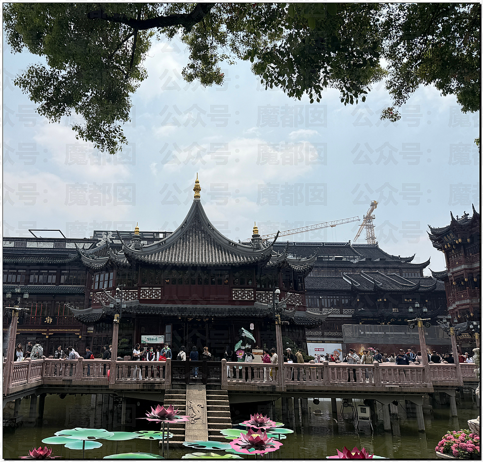 肉贴肉，人挤人！五一长假首日，中国各大景点已爆（组图） - 140