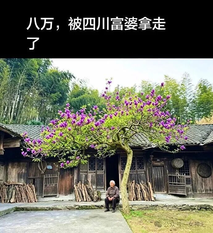 在X宝买了件性感连衣裙，把自拍发网上后..？网友笑疯：这是蟒蛇的身份证？ - 49