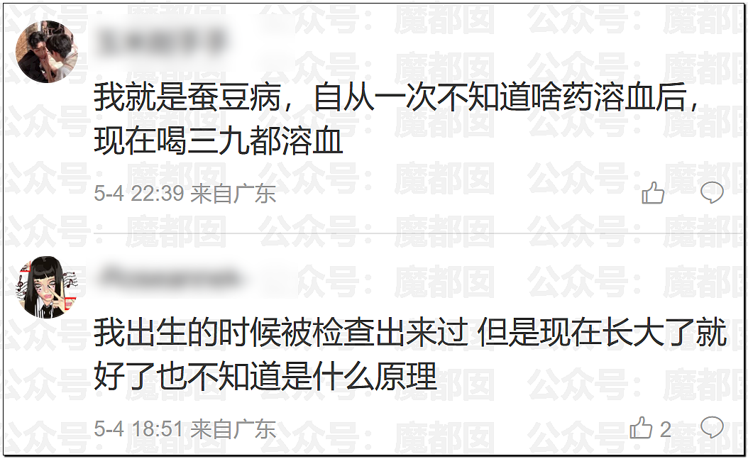 震撼！竟然不是所有人都能吃蚕豆！可能严重到溶血死亡（组图） - 18