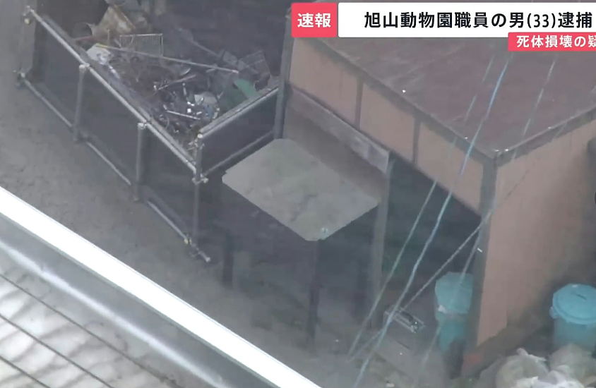 日本动物园员工杀妻，利用动物焚化炉毁尸灭迹！面带微笑照常上班（组图） - 6