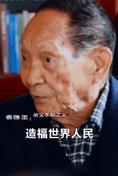 现实版顶级爽文!中国“种地仙人”勇闯非洲,混成当地大佬:AK保镖开路、专车接送(组图) - 55