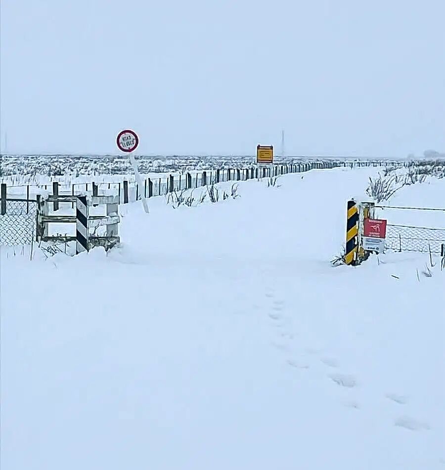 新西兰一地进入紧急状态!25厘米暴雪砸下,华人游客被困,发贴“求出逃”...(组图) - 13
