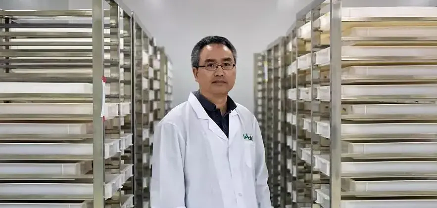 美研制无人机追杀蚊子!听声辨位直接撞,但真正的灭蚊王者在中国? - 10