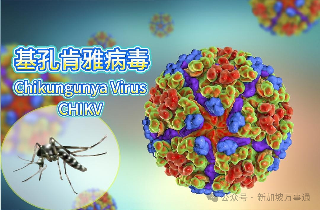 单周激增54起、近700人感染，新加坡这一病例连续攀升！中国多地拉响警报… - 9