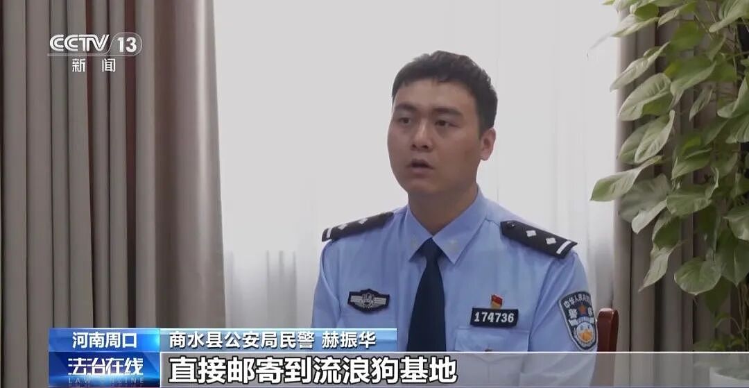 央视曝光动物救助直播骗局：低价买残疾狗卖惨摆拍，骗了250万仅3000元用在狗身上，平台投流60多万，其余大部分用于买豪车等挥霍 - 1