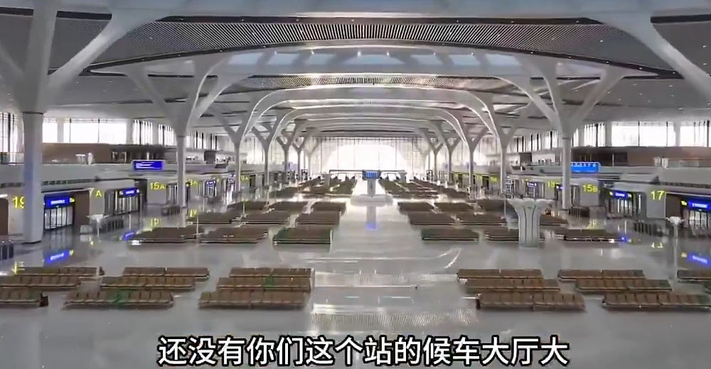 马斯克随手转发了一段中国火车站的视频，结果全世界的网友都破防了（组图） - 8