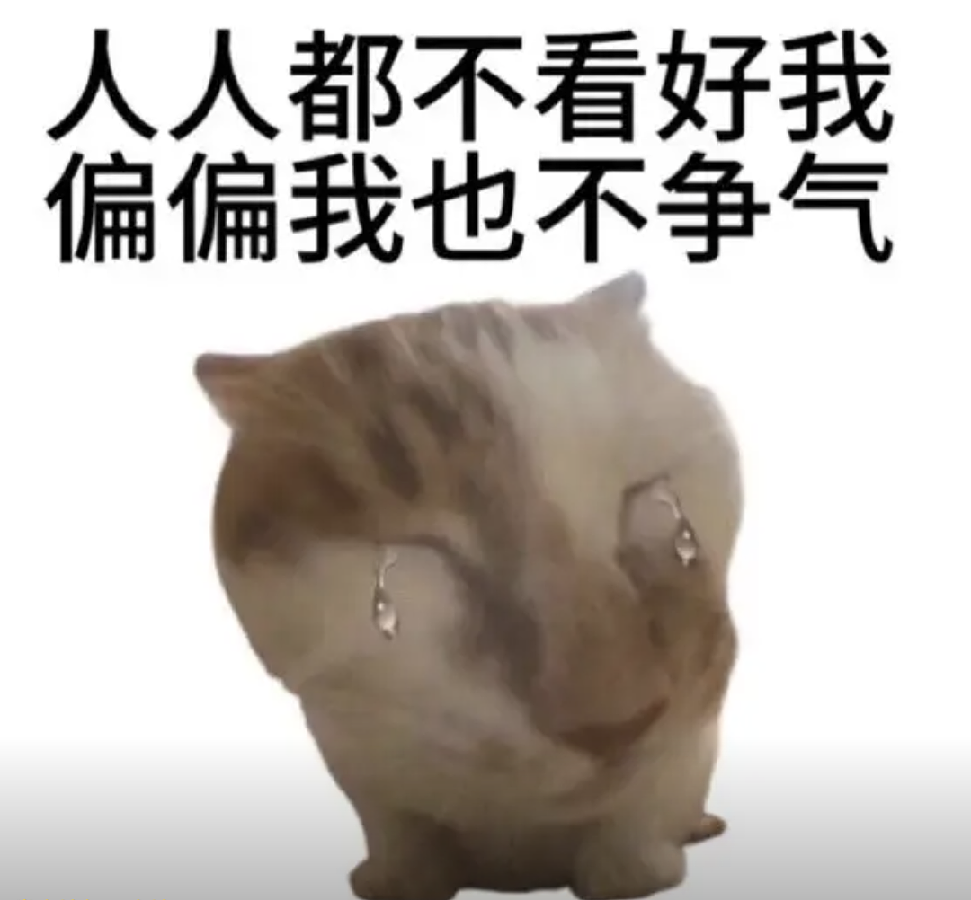 外网热议中国该办世界杯?猛夸基建太牛,中国网友:不能出钱又丢人(组图) - 28