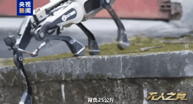 中国机器狼群巷战画面首次公开！“暗影”“浴血”“极地”集结 - 2