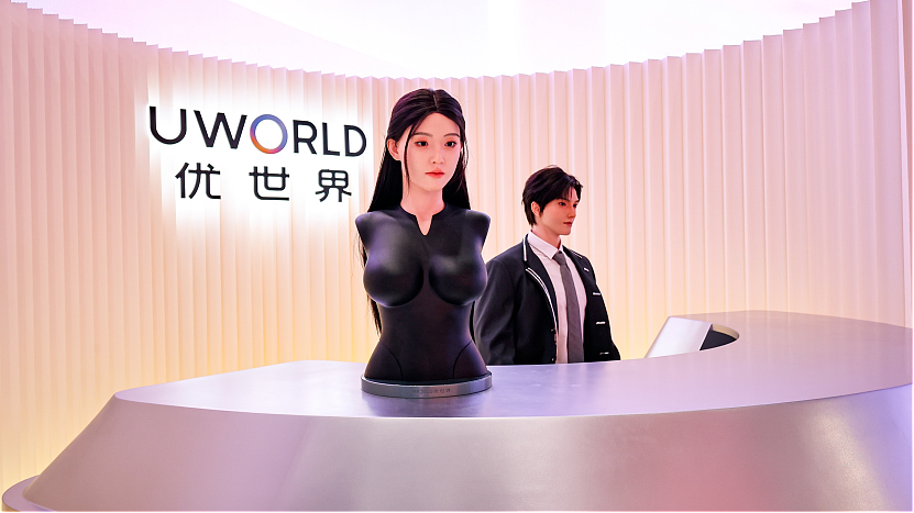 99万顶配的“机器人老婆”：贵过彩礼，谁是最大金主？（组图） - 6