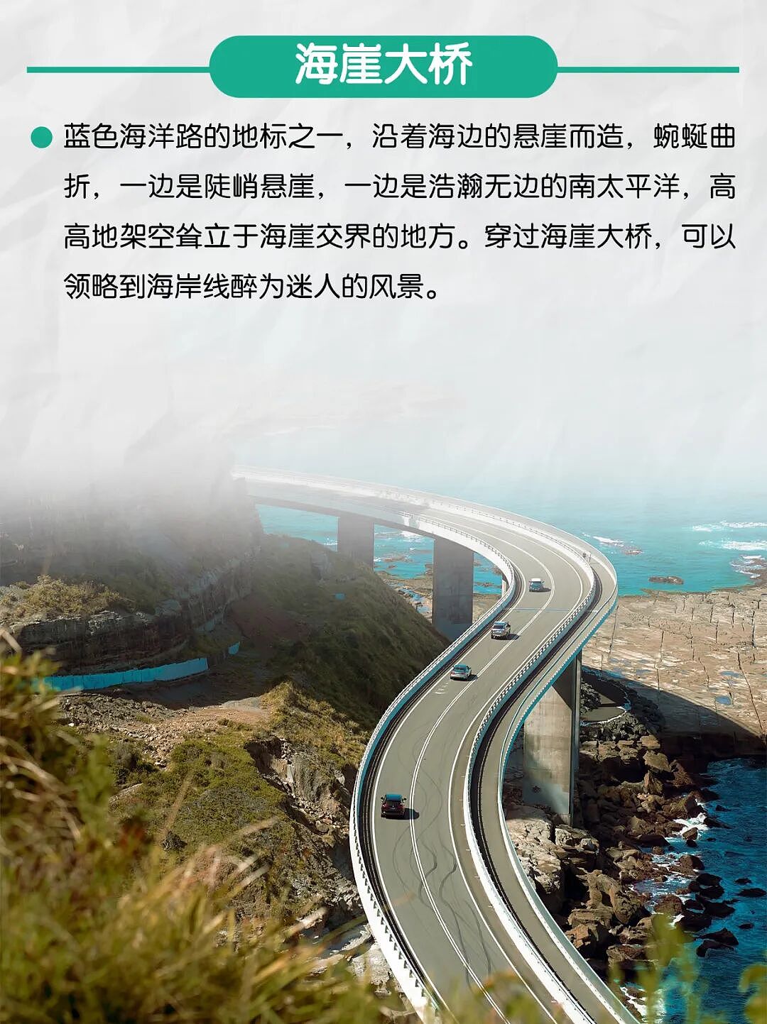 来悉尼太懒只逛了歌剧院和市区？那就看悉尼这条南线（组图） - 4