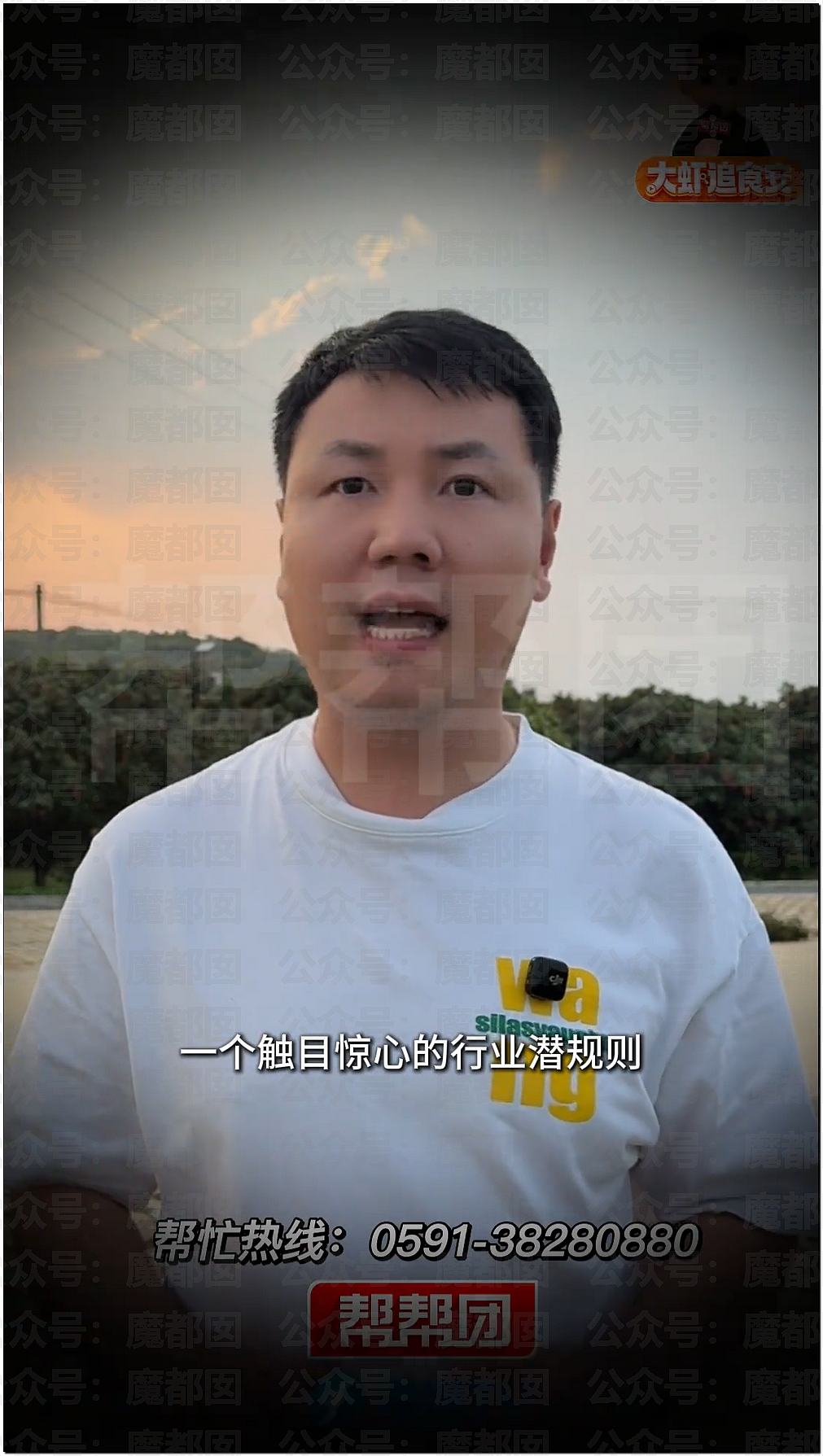 气到发抖！我们吃了那么多年杨梅竟都浸泡防腐剂和化学糖精（组图） - 21