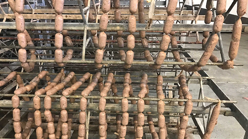 生态学家给鳄鱼投喂毒蟾蜍，还声称是为它们好；鳄鱼：我谢谢你啊 - 10