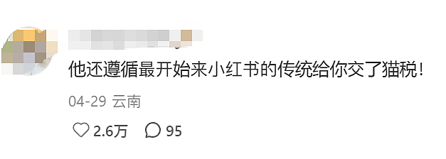 中国游客来新西兰“偷拍”民宅被发现， 屋主一句话让她破防 - 9