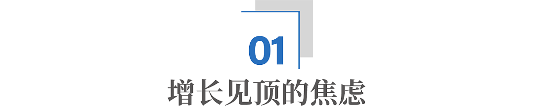 拼多多不卷低价了:砸1000亿,要干一件更狠的事(组图) - 1