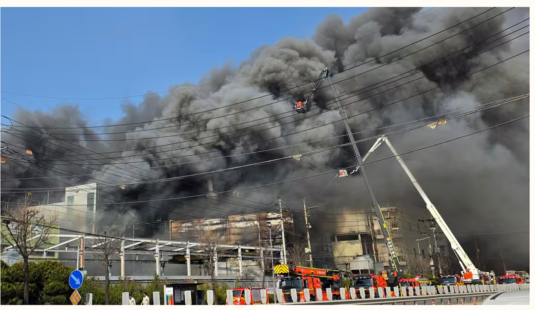 又一起！墨尔本老人被人随机连刺3刀 - 7