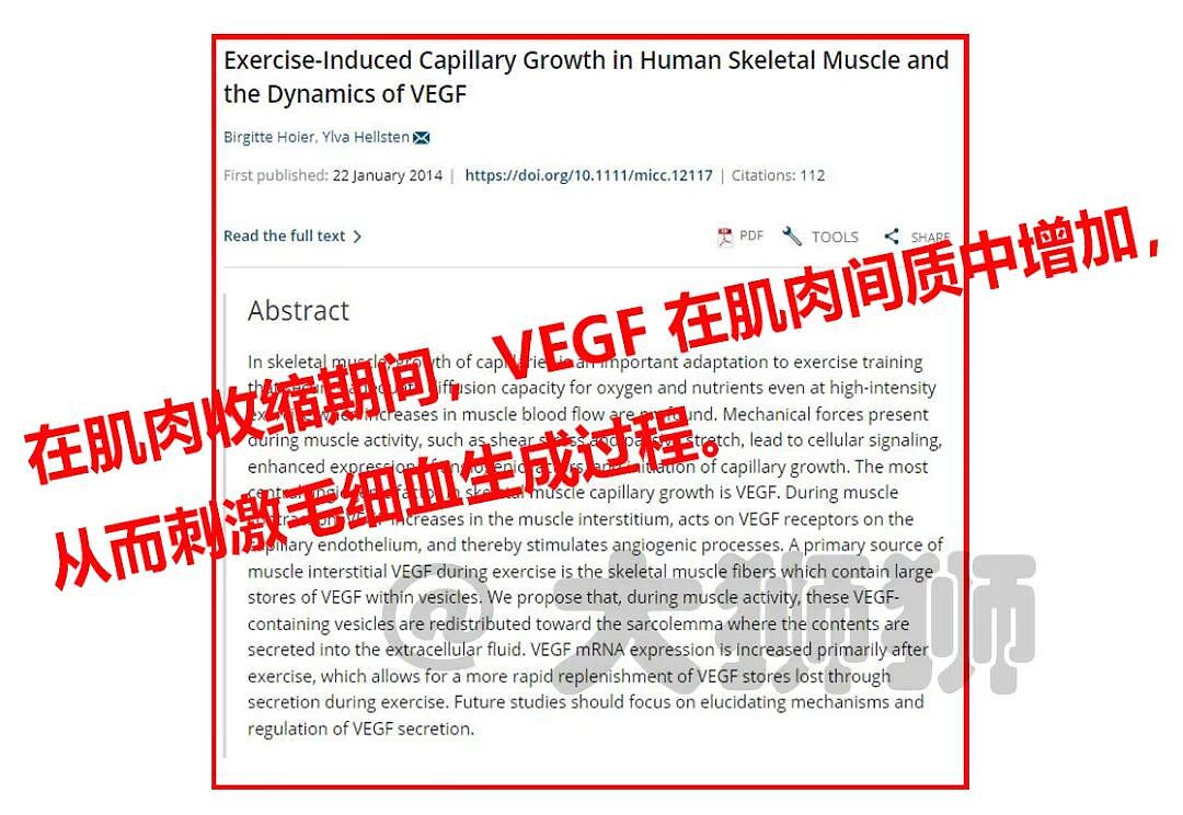 今天我想把“抗糖”这件事，说清楚！ - 31
