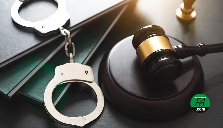 5900万美元被没收！洛杉矶华人卷入跨州诈骗洗钱案，判刑12年 - 4