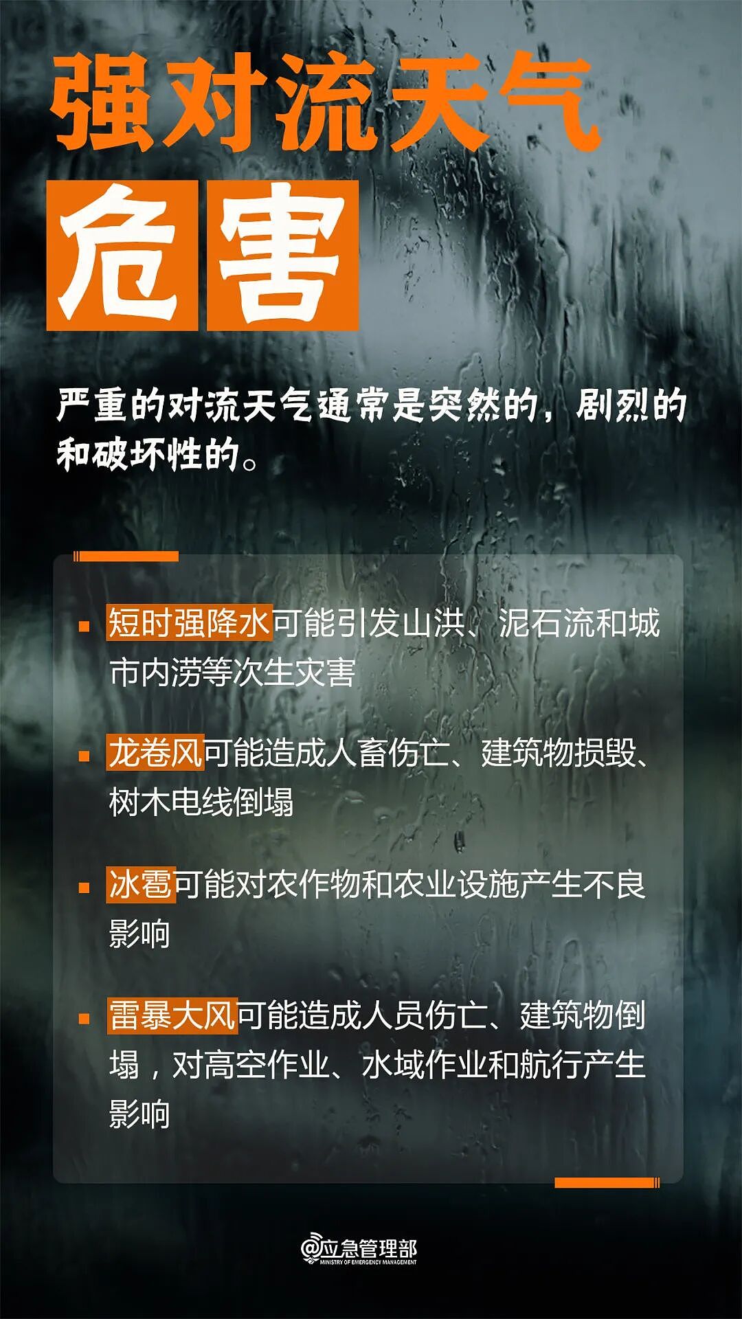 “整栋楼被掏空”，男子住12楼被大风“吸出”坠入绿化带，家属：还在ICU - 12