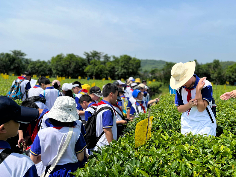 花8万去海外研学，孩子却在博物馆刷手机 - 5