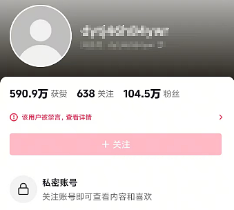 刚刚，百万粉丝网红被无限期封禁！（组图） - 2