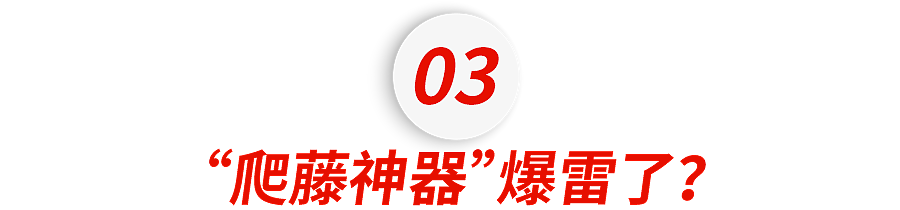 李小璐送13岁女儿甜馨去美国读夏校,屡屡爆雷的爬藤神器还灵吗?(组图) - 13