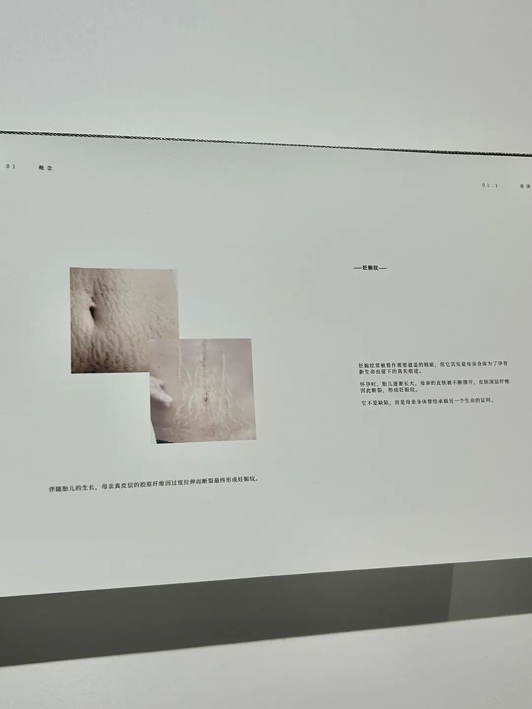 美院毕设的神仙打架现场!盲人女性卫生间、妊娠纹珊瑚、希望在上…每一件都值得一看!网友:后浪们太顶了(组图) - 26