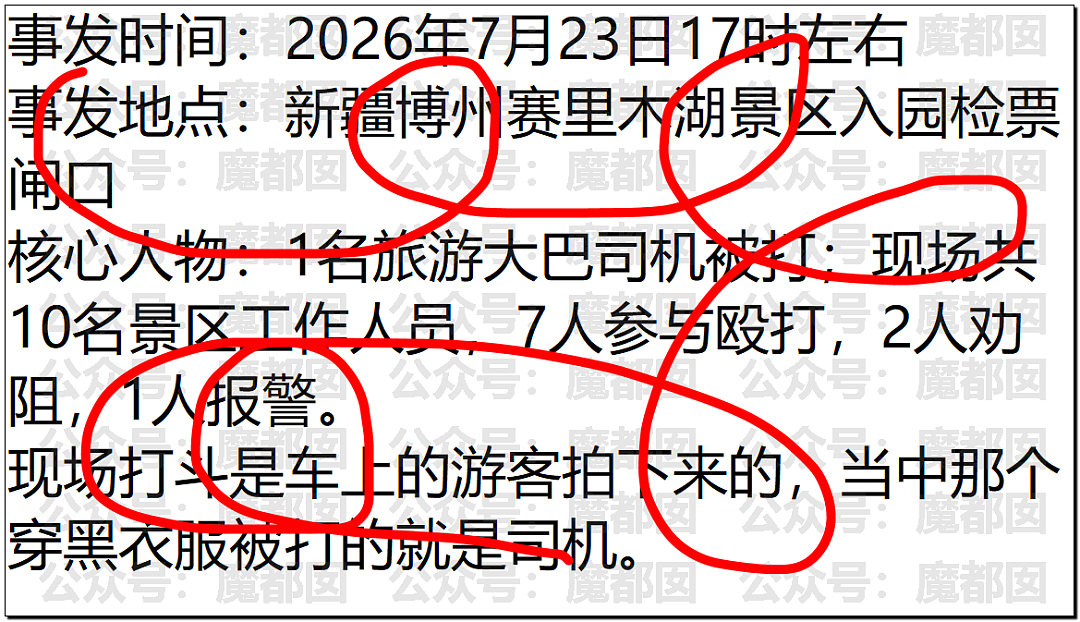 新疆赛里木湖景区曝围殴事件!7名工作人员殴打司机,视频曝光引热议(组图) - 2