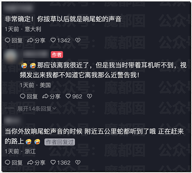 全网骇然！女生被AI带入剧毒蛇窝！遍地响尾蛇险些命丧当场（组图） - 52