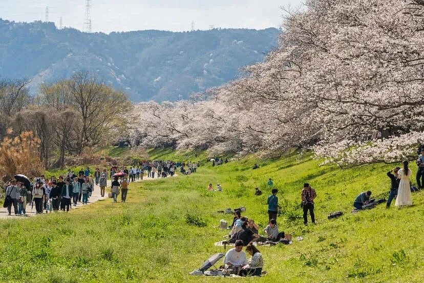 日本最年轻女市长要生娃休产假，却引发全国大讨论？网友：想休产假就别当市长！这？ - 8