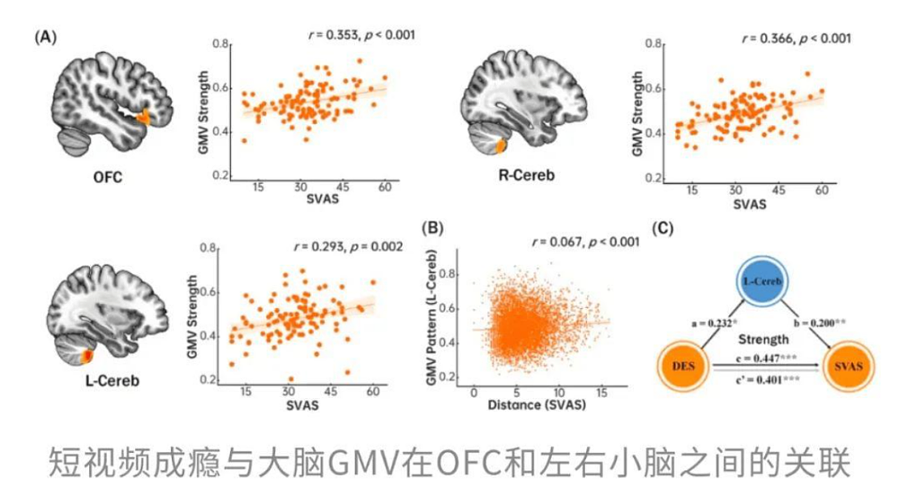 神经学家:倍速刷视频, 正在“吃掉”你的大脑(组图) - 19
