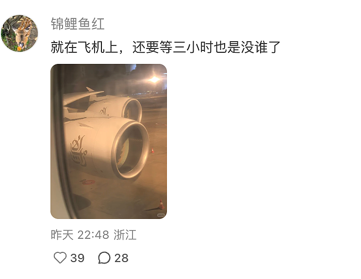 崩溃!多人中暑昏倒,吐鼻血.......国际航班降落中国后,373名乘客待在机舱10个半小时,航司致歉 - 3