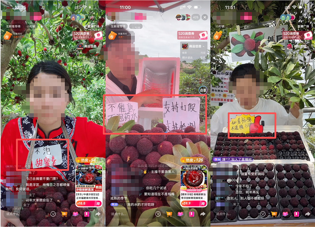 人人喊打的“泡药杨梅”，被自己人坑惨了（组图） - 6