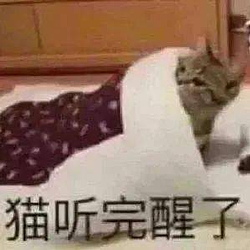 被AI诬陷入狱160天,美国大姐跌入斩杀线(组图) - 6