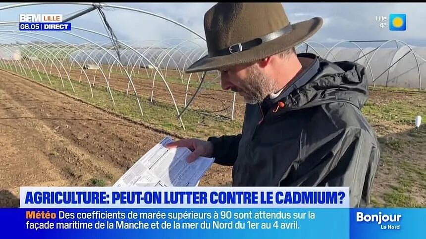 法国父母焦虑自曝：我每天给孩子喂慢性毒药，但不敢停，停了会饿死（组图） - 10