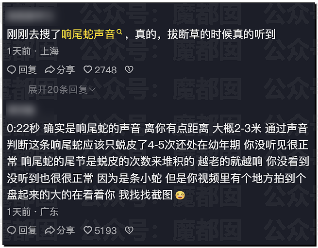 全网骇然！女生被AI带入剧毒蛇窝！遍地响尾蛇险些命丧当场（组图） - 51