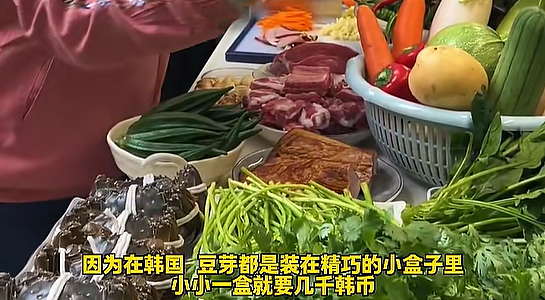 人均9.9元的中国菜市场,让老外们彻底沦陷 - 7