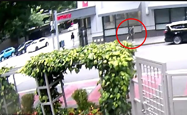 随机枪杀亚裔孕妇和腹中孩子，凶手被判“精神失常不负刑责”（组图） - 7