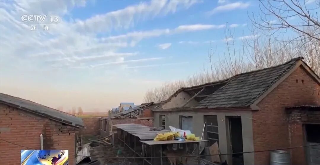 央视曝光动物救助直播骗局：低价买残疾狗卖惨摆拍，骗了250万仅3000元用在狗身上，平台投流60多万，其余大部分用于买豪车等挥霍 - 5