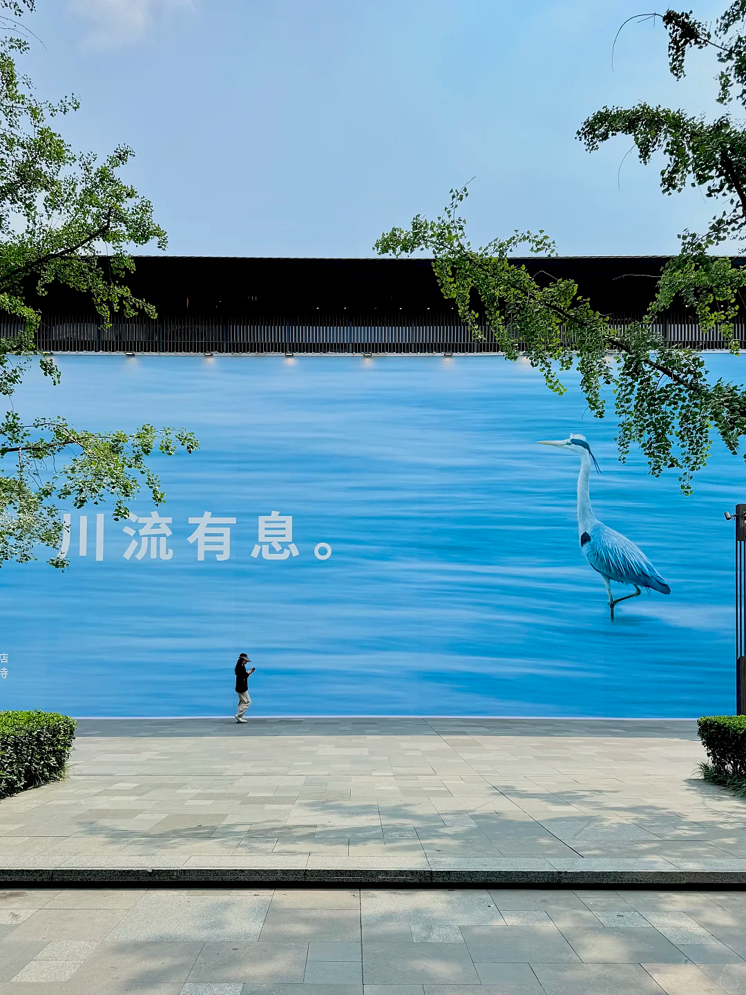 MUJI文案又出圈了!上海旗舰店闭店海报“再见,在见”,网友:妙(组图) - 7