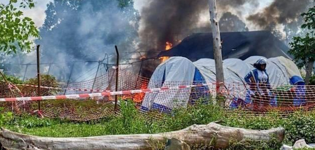 已致204死！世界杯或引爆加拿大疫情？新型病毒外溢10国，死亡率最高90%！专家警告（组图） - 6