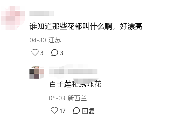 中国游客来新西兰“偷拍”民宅被发现， 屋主一句话让她破防 - 28