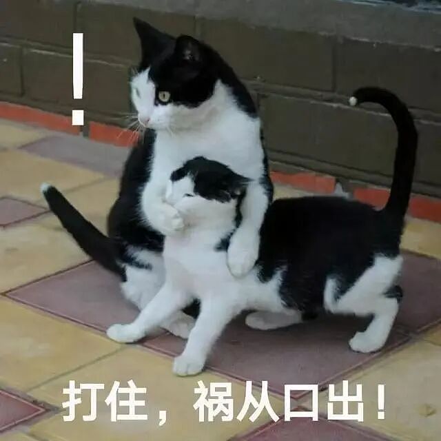 明码标价、线上选妃、多人服务… 深扒新加坡暗网灰色产业链内幕(组图) - 9