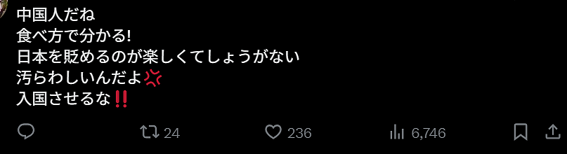 日本博主怒批外国人伪造舞妓账号，却遭日本官方电视台打脸（组图） - 11