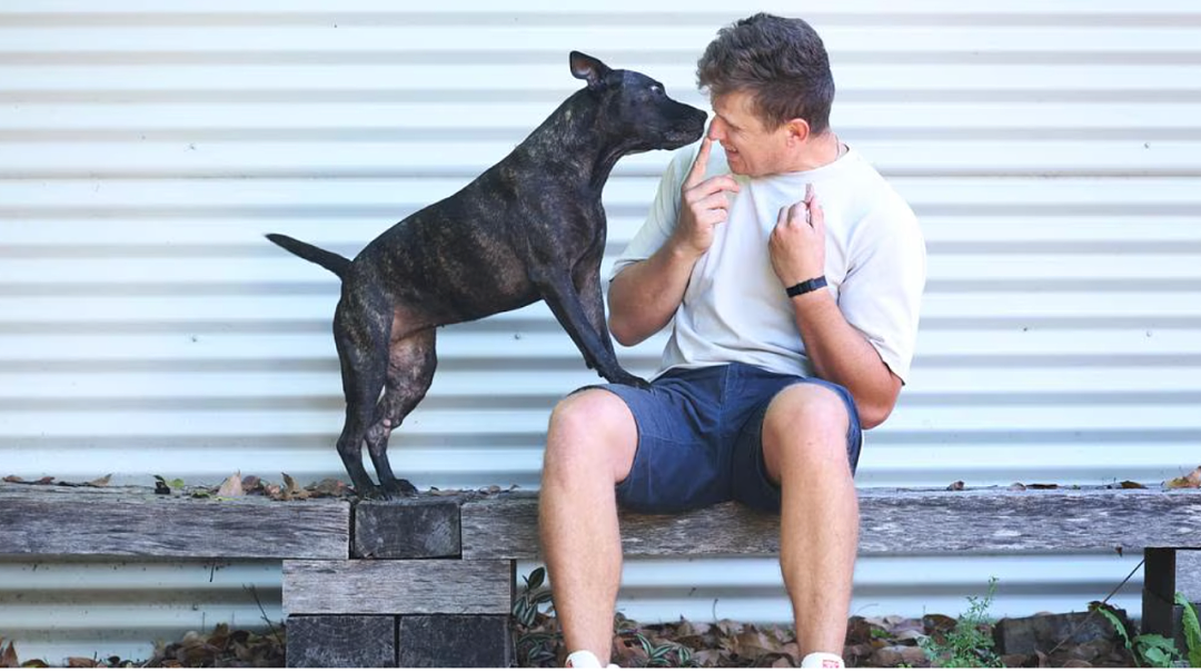 澳洲IT男用ChatGPT救活爱犬:自学设计癌症疫苗,肿瘤竟缩小75%(组图) - 9