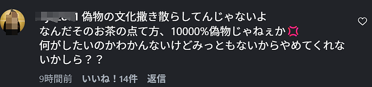 日本博主怒批外国人伪造舞妓账号，却遭日本官方电视台打脸（组图） - 20