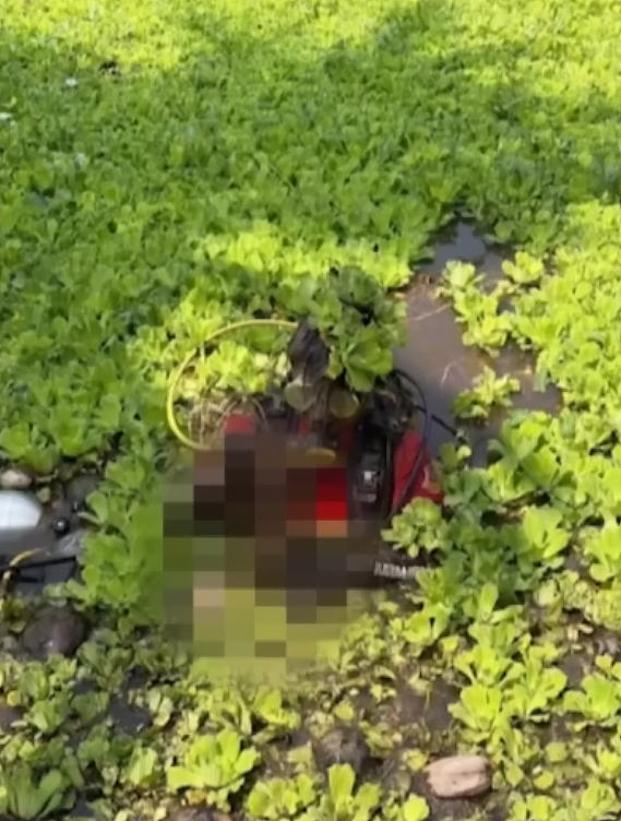 惊悚!！华人女子泳池派对后遇害，被塞进宝马运走、抛尸水沟！生前狂发“救我”（组图） - 8