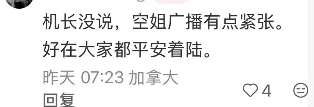 惊魂!回国航班突然掉头,万米高空排油紧急迫降!华人大哭机长崩溃...(组图) - 14