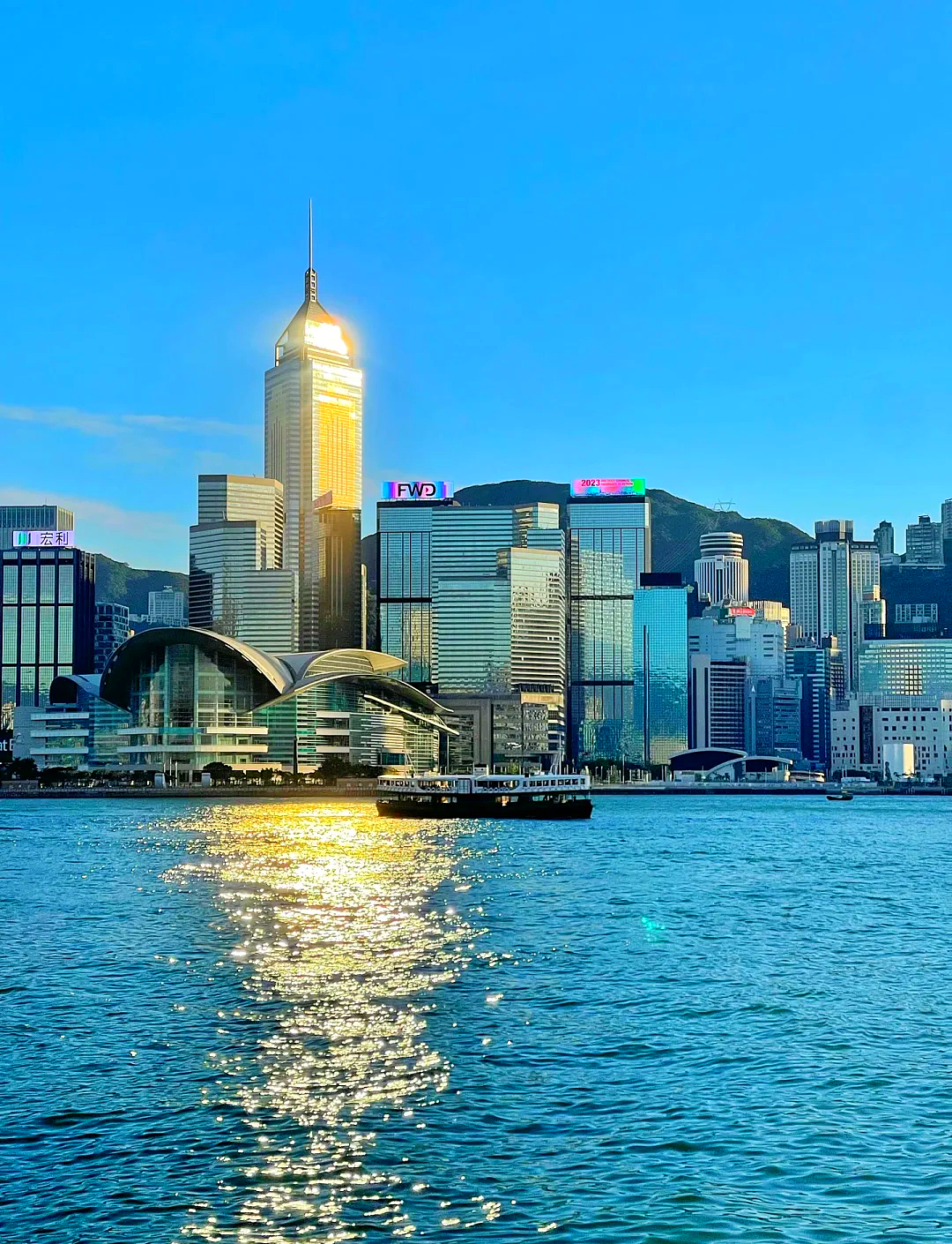 2026香港的大学“超级大扩招”来了!赴港留学掀起新高潮(组图) - 5