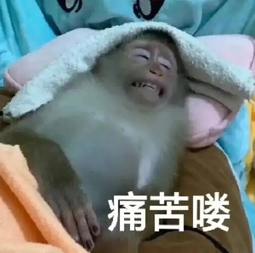 刚考过中文的老外,又被网友干自闭了(组图) - 23
