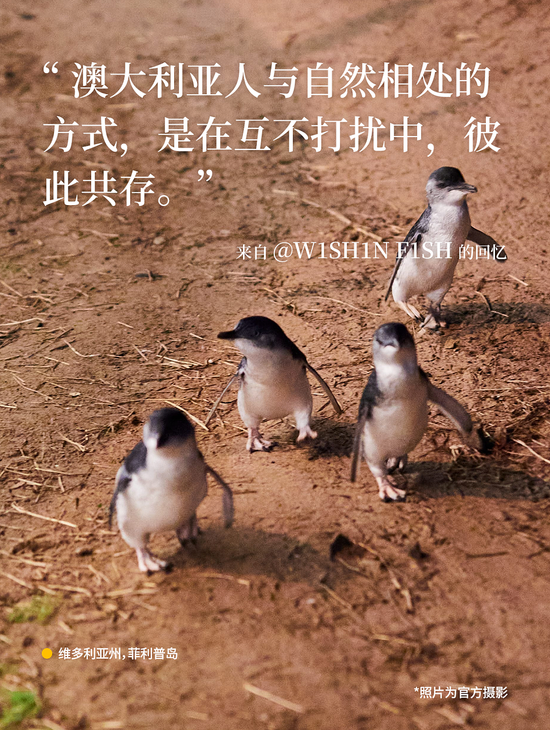 粉丝来稿 | 为什么我们对澳大利亚念念不忘（组图） - 24